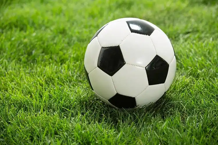 数据研究者使用澳客竞彩足球比分进行研究